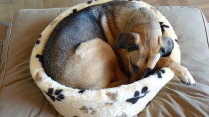 050911_1214_DasistAmiin12